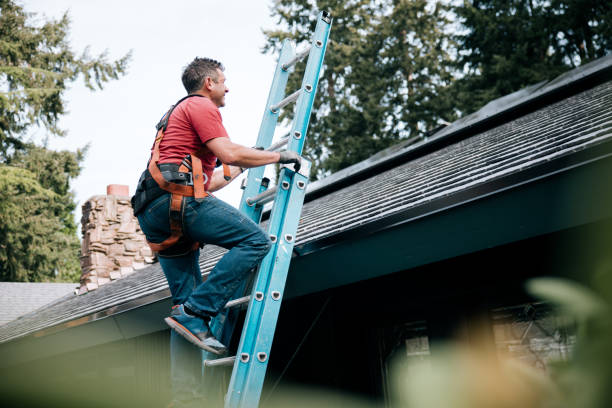 Best Roof Moss and Algae Removal  in Carthage, NY